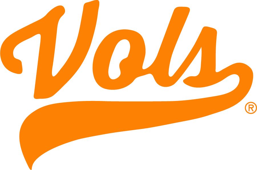 Tennessee Volunteers 2020-Pres Wordmark Logo v6 diy iron on heat transfer
